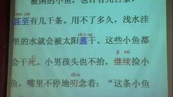 成人认字讲课视频免费观看,轻松掌握汉字奥秘