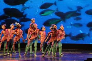 成人舞蹈 橡树林视频,成人舞者的心灵共鸣与身体律动