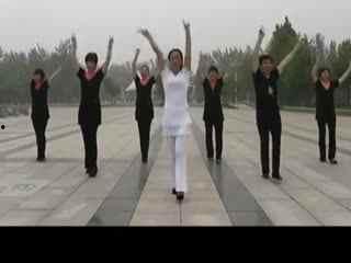 成人舞蹈兔子舞视频教学,轻松学会成人舞蹈新潮流