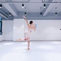 古典成人舞蹈易学视频大全