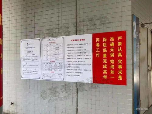 成人考试现场视频竖版,紧张有序，青春逐梦
